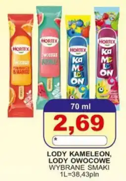Primus Lody Kameleon, Lody Owocowe Wybrane Smaki oferta