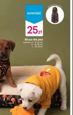 Pepco Akcesoria dla psa S! oferta