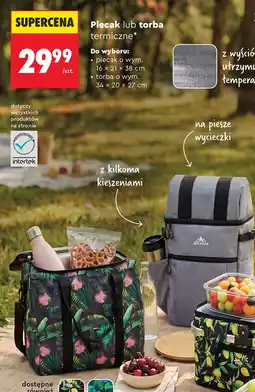Biedronka Torba termiczna Smukee oferta