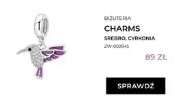 Briju Charms Briju srebro cyrkonia oferta