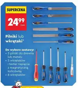 Biedronka Pilniki lub wkrętaki oferta