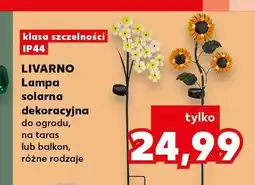 Kaufland Lampa solarna dekoracyjna Livarno oferta