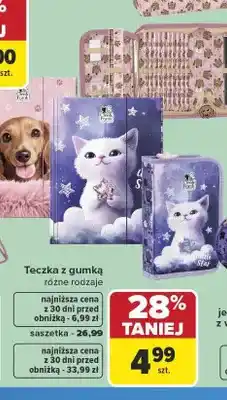 Carrefour Teczka z gumką Cleo & Frank oferta
