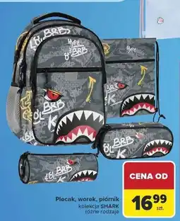 Carrefour Worek kolekcja SHARK oferta