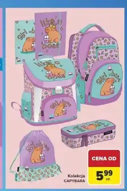 Carrefour Kolekcja Capybara oferta