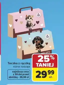 Carrefour Teczka z rączką Sweet Pets oferta