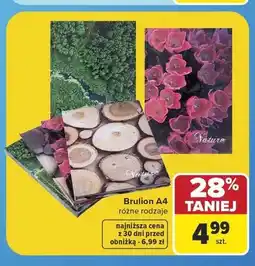 Carrefour Brulion A4 oferta