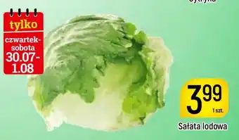 Delikatesy Piotruś Pan Sałata lodowa oferta