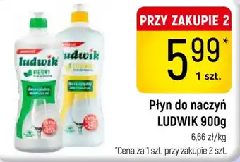 Delikatesy Piotruś Pan Płyn do naczyń LUDWIK oferta