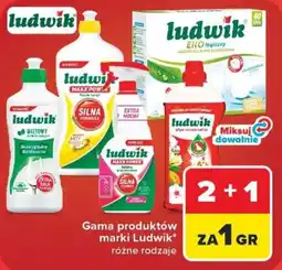 Carrefour Gama produktów marki Ludwik* różne rodzaje oferta