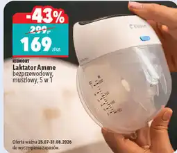 Biedronka Laktator Amme bezprzewodowy, muszlowy, 5 w 1 Kidnort oferta