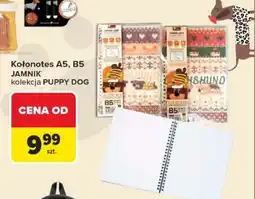 Carrefour Kołonotes A5, B5 JAMNIK oferta