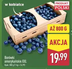 ALDI Borówki amerykańskie Polski oferta