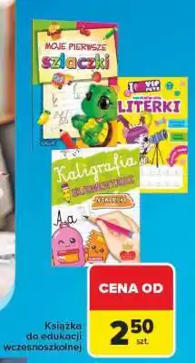 Carrefour Książka do edukacji wczesnoszkolnej oferta