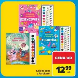 Carrefour Książeczka z farbkami oferta