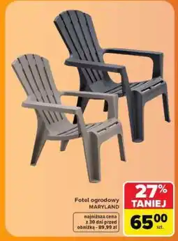 Carrefour FOTEL OGRODOWY oferta