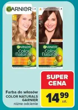 Carrefour GARNIER oferta