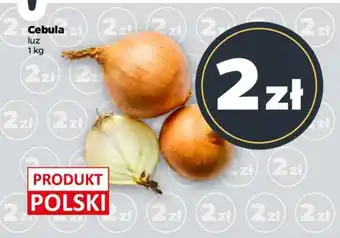 Netto Cebula oferta