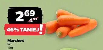 Netto Marchew oferta