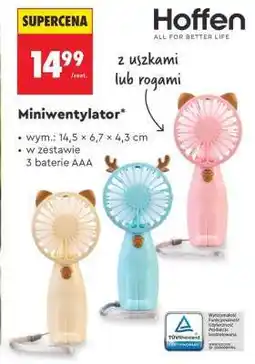 Biedronka Miniwentylator oferta