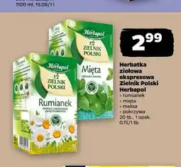 Netto Herbatka ziołowa ekspresowa Herbapol Zielnik Polski Mięta oferta