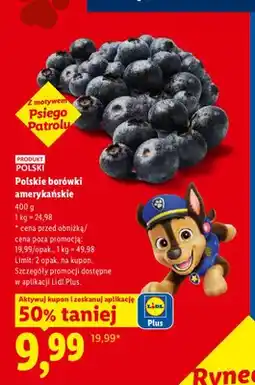 Lidl Borówki amerykańskie Ryneczek Lidla polskie oferta