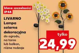 Kaufland LIVARNO Lampa solarna dekoracyjna oferta