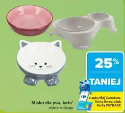 Carrefour Miska dla psa, kota oferta
