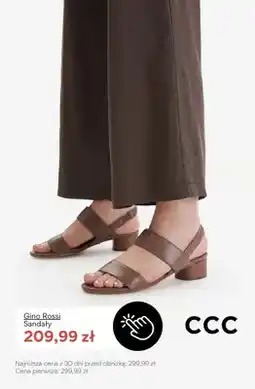 CCC Sandały Gino Rossi oferta