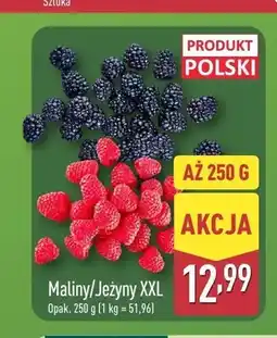 ALDI Jeżyny XXL oferta