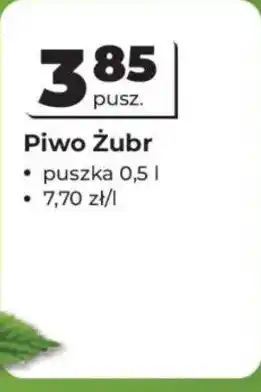 Odido Piwo Żubr oferta