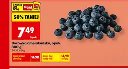 Biedronka Borówka amerykańska, opak oferta