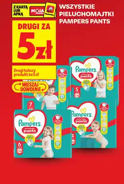 Biedronka Wszystkie pieluchomajtki Pampers Pants oferta