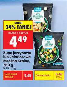Biedronka Zupa jarzynowa lub kalafiorowa Mroźna Kraina oferta