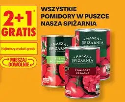 Biedronka Wszystkie pomidory w puszce Nasza Spiżarnia oferta