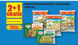 Biedronka Wszystkie produkty mrożone Hortex oferta