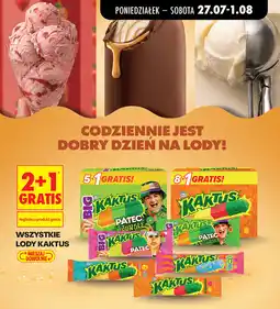 Biedronka Wszystkie lody kaktus oferta