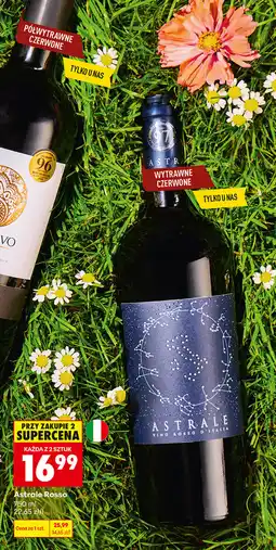 Biedronka Astrale Rosso oferta