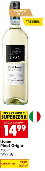 Biedronka Uvam Pinot Grigio oferta