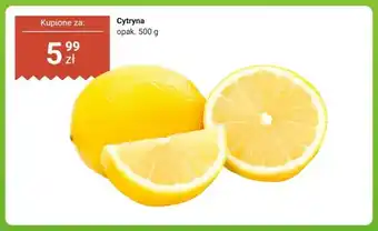 Biedronka Cytryna oferta