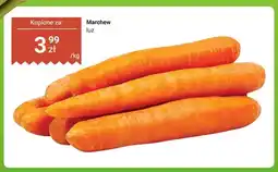 Biedronka Marchew luz oferta