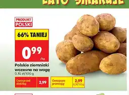 Biedronka Ziemniaki wczesne polskie oferta