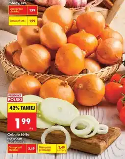 Biedronka Cebula żółta polska oferta