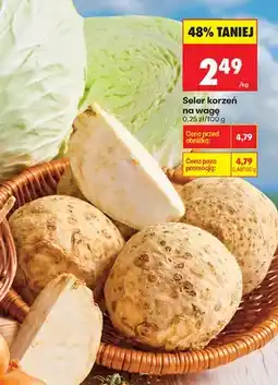 Biedronka Seler korzeń oferta