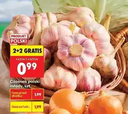 Biedronka Czosnek młody polski oferta