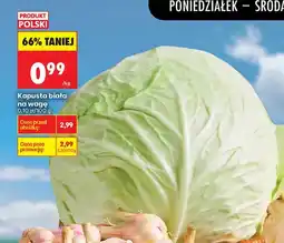 Biedronka Kapusta biała polska oferta