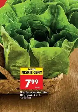 Biedronka Sałata rzymska mini Bio 2-pak oferta