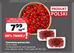 Netto Czerwona porzeczka Polski oferta