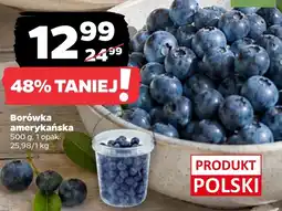 Netto Borówka amerykańska Polski oferta