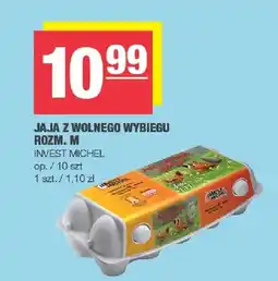 Spar Jaja z wolnego wybiegu Invest Michel rozm. M oferta